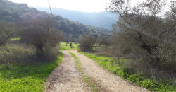 Land for Sale Ain Kfaa Jbeil Area 3175Sqm