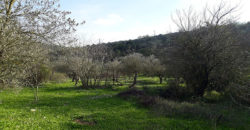 Land for Sale Ain Kfaa Jbeil Area 3175Sqm