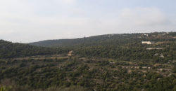 Land for Sale Bejjeh Jbeil Area 3629Sqm
