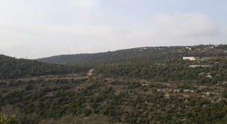 Land for Sale Bejjeh Jbeil Area 3629Sqm