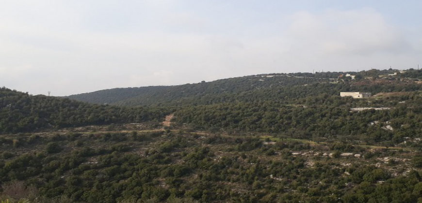 Land for Sale Bejjeh Jbeil Area 3629Sqm