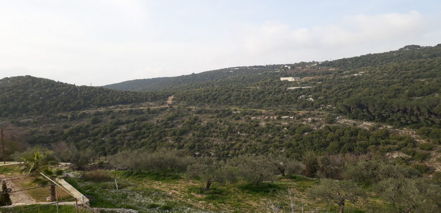 Land for Sale Bejjeh Jbeil Area 3629Sqm