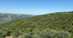 Land for Sale Bejjeh Jbeil Area 4994Sqm