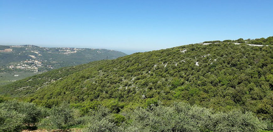 Land for Sale Bejjeh Jbeil Area 4994Sqm