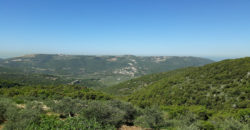 Land for Sale Bejjeh Jbeil Area 4994Sqm