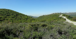 Land for Sale Bejjeh Jbeil Area 1825Sqm
