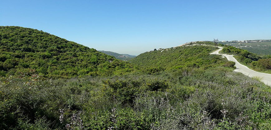 Land for Sale Bejjeh Jbeil Area 1825Sqm