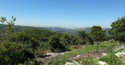 Land for Sale Bejjeh Jbeil Area 1825Sqm