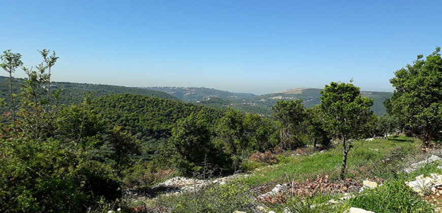 Land for Sale Bejjeh Jbeil Area 1825Sqm
