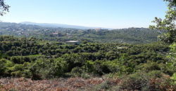 Land for Sale Bejjeh Jbeil Area 1825Sqm