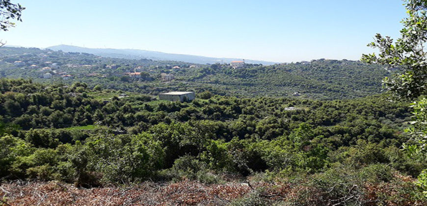 Land for Sale Bejjeh Jbeil Area 1825Sqm