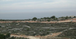 Land for Sale Gharzouz Jbeil Area 1668Sqm