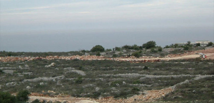 Land for Sale Gharzouz Jbeil Area 1668Sqm