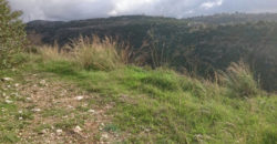 Land for Sale Daher Abi Yaghi Batroun Area 10832Sqm