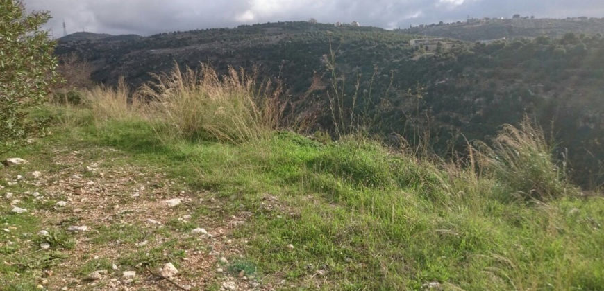 Land for Sale Daher Abi Yaghi Batroun Area 10832Sqm