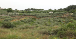 Land for Sale Mrah Chdid Batroun Area 676Sqm