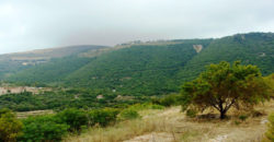 Old House for Sale Ain Kfaa Jbeil Housing area 200Sqm