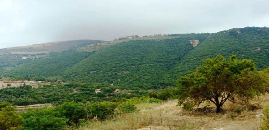 Old House for Sale Ain Kfaa Jbeil Housing area 200Sqm