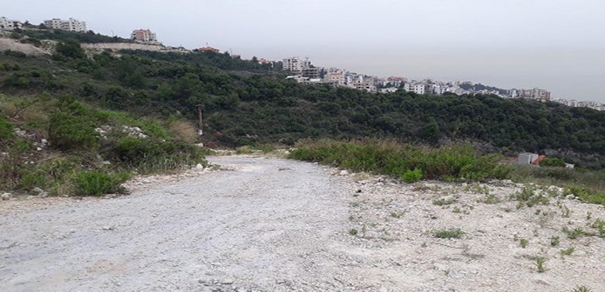 Land for Sale Blat Jbeil Area 3690Sqm
