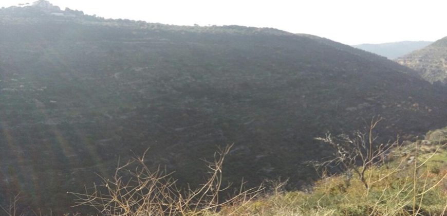 Land for Sale Bejjeh Jbeil Area 7800Sqm