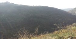 Land for Sale Bejjeh Jbeil Area 7800Sqm