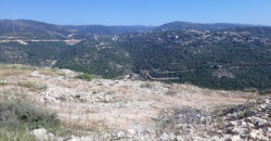 Land for Sale Bejjeh Jbeil Area 5690Sqm