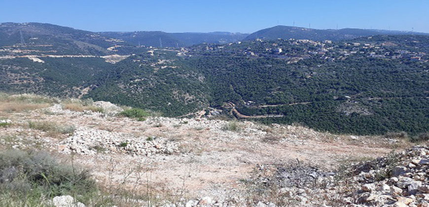 Land for Sale Bejjeh Jbeil Area 5690Sqm