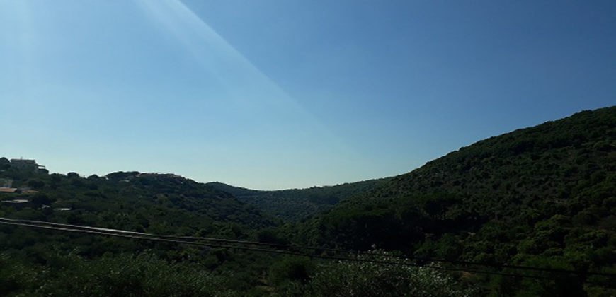 Lamd for Sale Bejjeh Jbeil Area 706Sqm