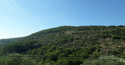 Lamd for Sale Bejjeh Jbeil Area 706Sqm
