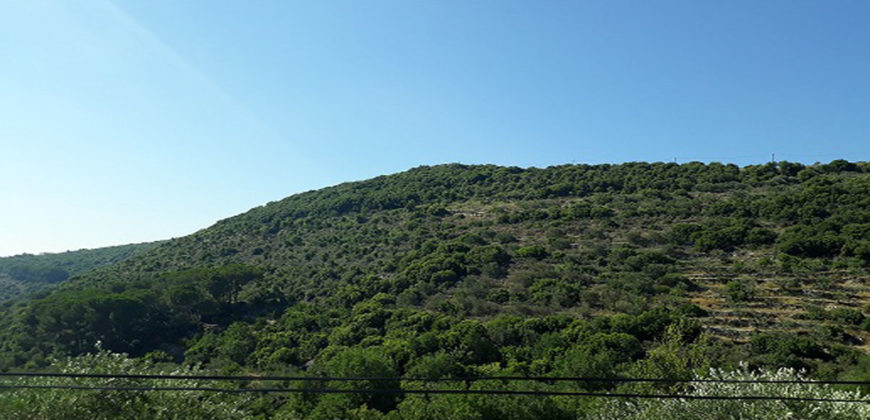 Lamd for Sale Bejjeh Jbeil Area 706Sqm