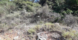 Lamd for Sale Bejjeh Jbeil Area 706Sqm