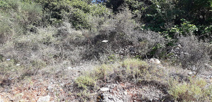 Lamd for Sale Bejjeh Jbeil Area 706Sqm