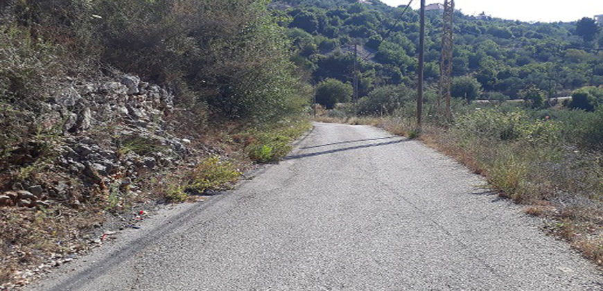 Lamd for Sale Bejjeh Jbeil Area 706Sqm