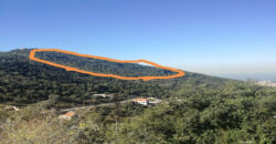 Land for Sale Delbta Kesserwan Area 5800Sqm