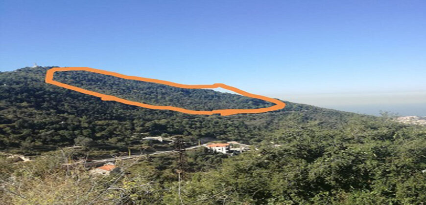 Land for Sale Delbta Kesserwan Area 5800Sqm