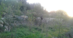 Land for Sale Zebdine Jbeil Area 3809Sqm