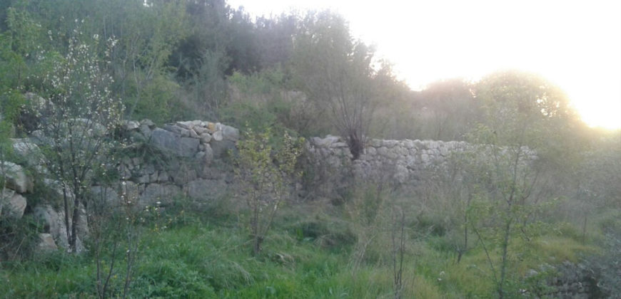 Land for Sale Zebdine Jbeil Area 3809Sqm