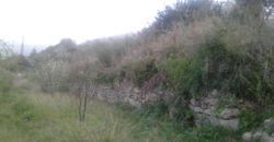 Land for Sale Zebdine Jbeil Area 3809Sqm