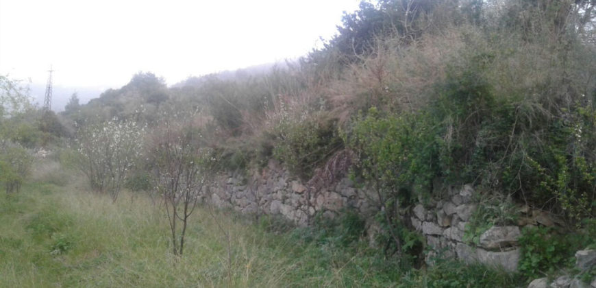Land for Sale Zebdine Jbeil Area 3809Sqm