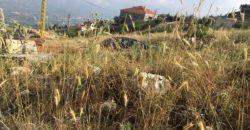 Land for Sale Aaqoura ( Laqlouq ) Jbeil Area 1660Sqm