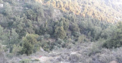 Land for Sale Lehfed Jbeil Area 6198Sqm