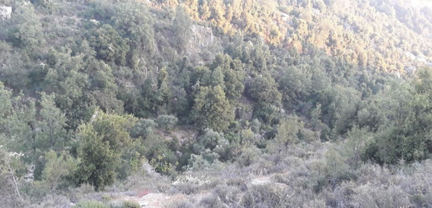 Land for Sale Lehfed Jbeil Area 6198Sqm