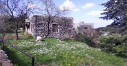 Old House for Sale Zaaitra Kesserwan Housing Area 100Sqm