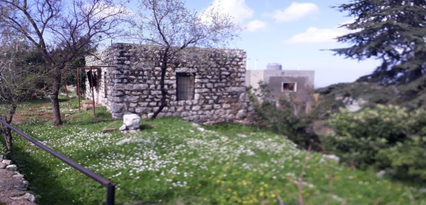 Old House for Sale Zaaitra Kesserwan Housing Area 100Sqm