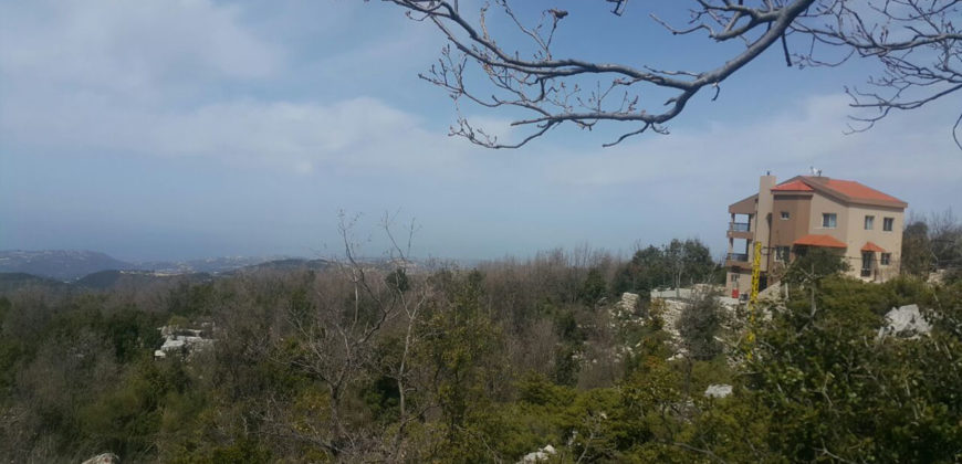 Land for Sale Mechmech Jbeil Area 1100Sqm