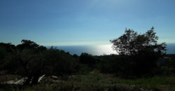 Land for Sale Monsef Jbeil Area 998Sqm