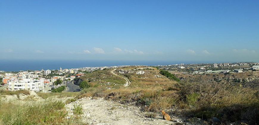 Land for sale Hboub Jbeil Area 790Sqm
