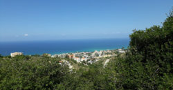 Land for Sale Fidar ( Halat ) Jbeil Area 682Sqm