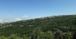 Land for Sale Mechmech Jbeil area 720Sqm