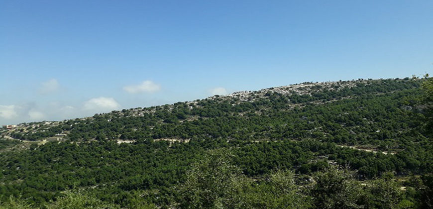 Land for Sale Mechmech Jbeil area 720Sqm